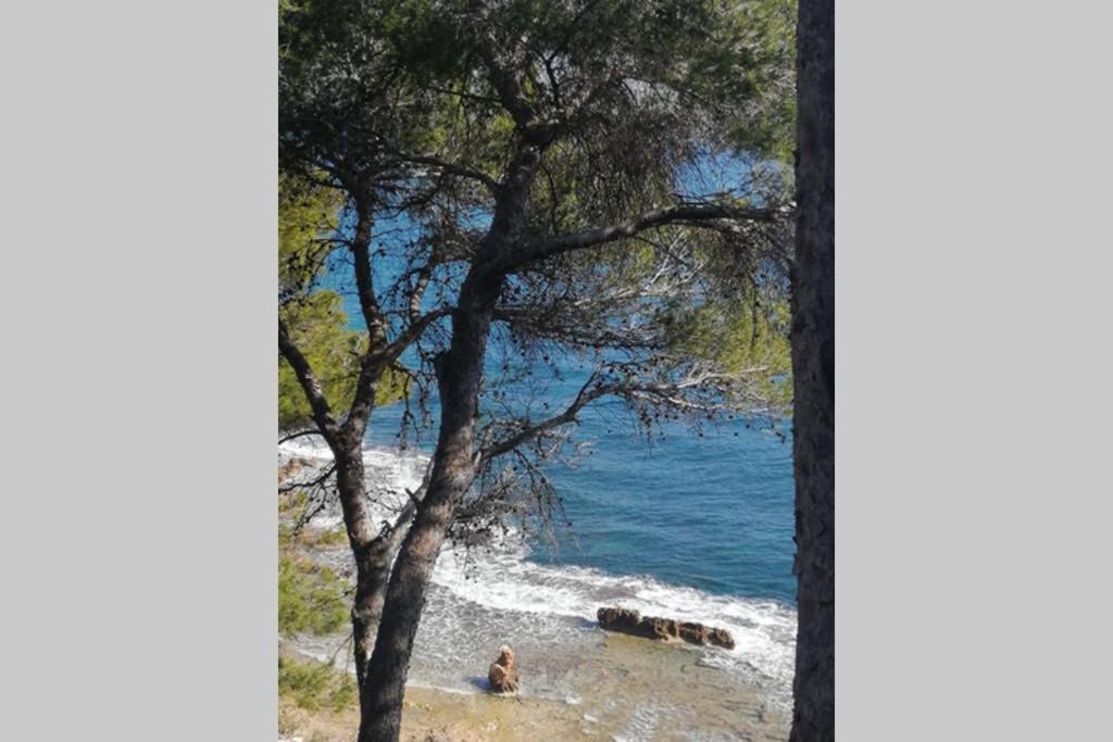 El Poblet 36 Villa Denia Bagian luar foto